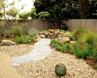 dry gravel garden with Pennisetum setaceum Cupreum and Limonium
