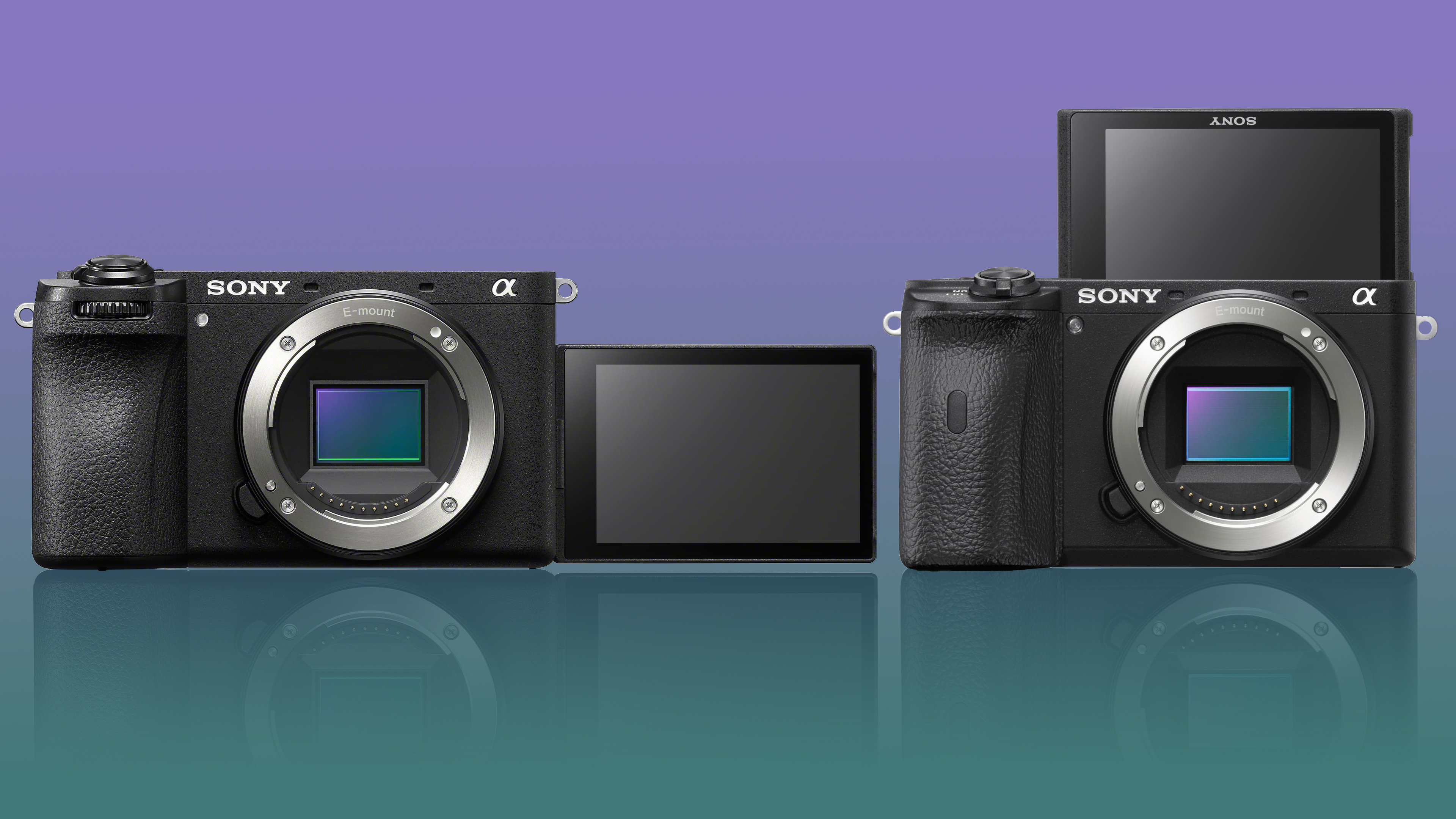 Sony A6600 next to a Sony A6700 on a purple and teal background