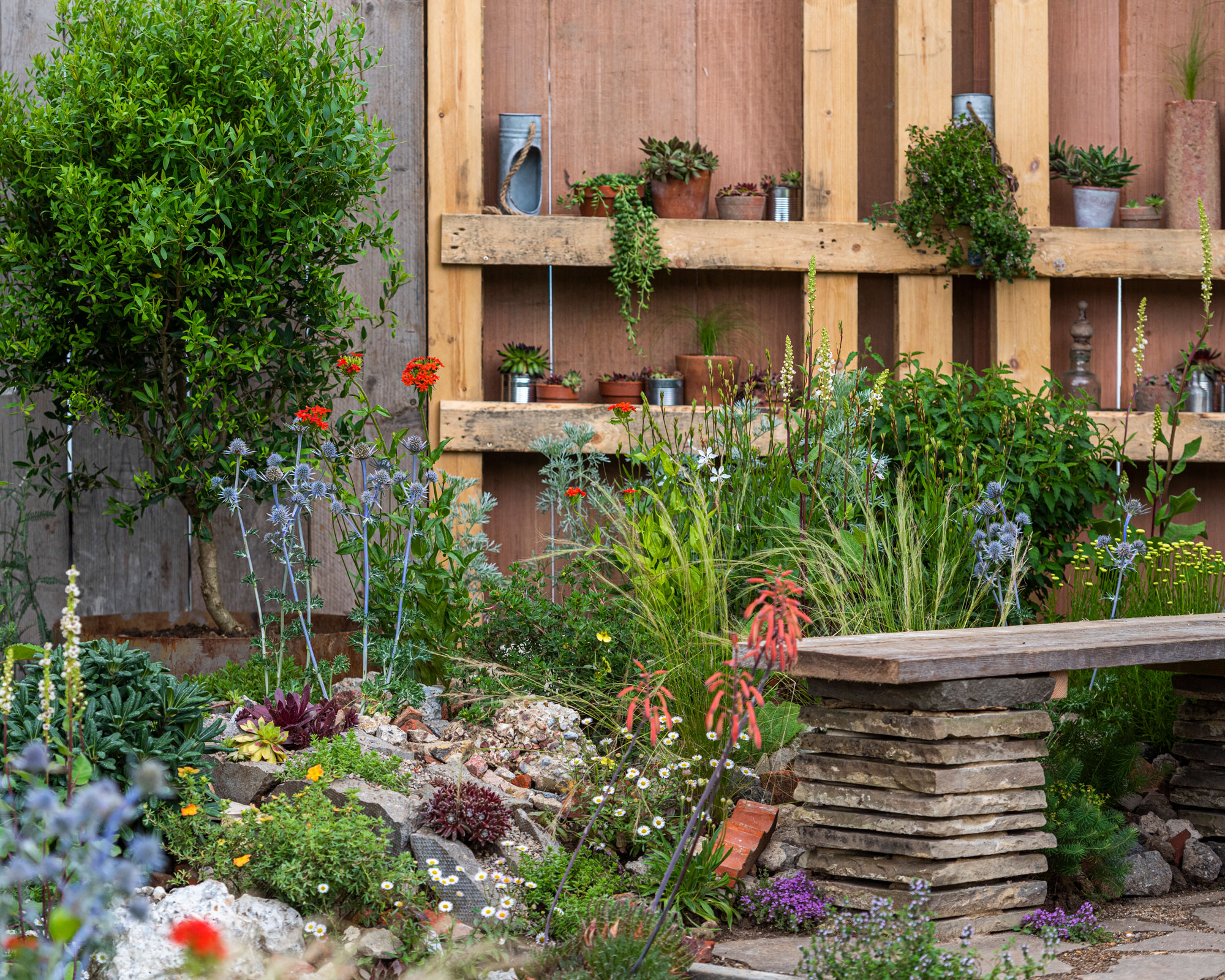 fence with integrated shelves and pot plants, garden bench and flowerbeds with shrubs and flowers
