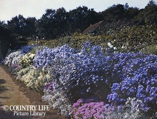 Gertrude Jekyll's garden at Munstead Wood - photographed in 1912 (©Country Life Picture Library)