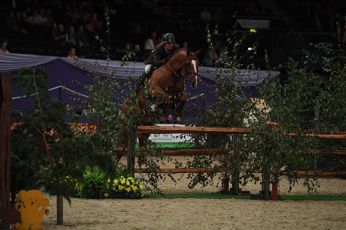 HOYS 06 10 21