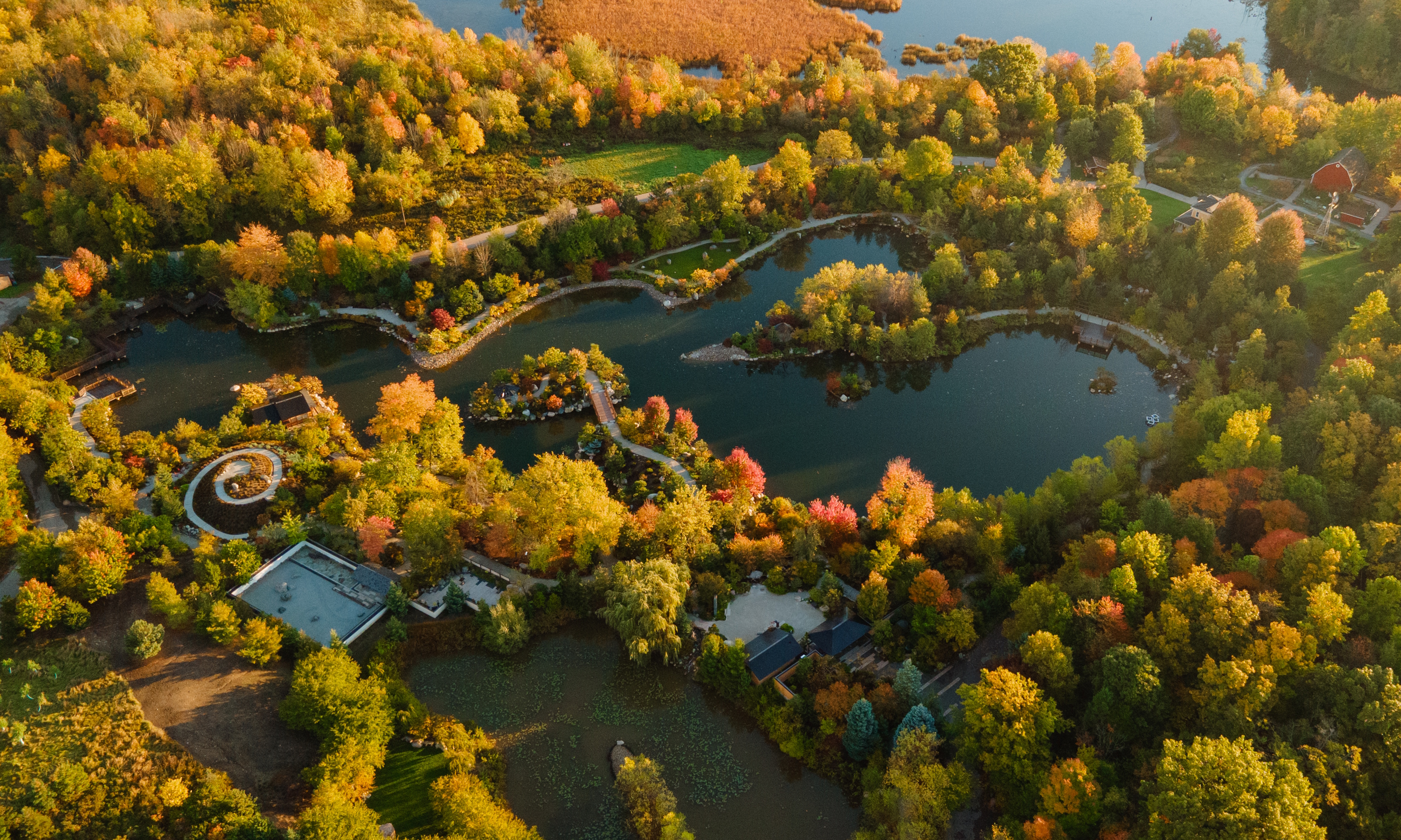 Meijer Japanese Garden from above. Full view of the garden and pond in fall with lots of red and orange trees