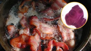 Main image is of bacon cooking in a frying pan. Embedded in the top right is a photograph of a pork tapeworm scolex under a microscope.