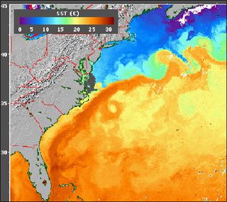 The Gulf Stream, in orange, is easily visible as the warmest water in this image from a NOAA satellite.
