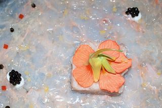 Close up image of a seafood dish, clear jelly background, peach flower head as decoration