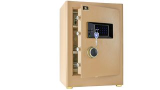 TIGERKING gold double lock safe