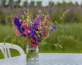 Jar of delphiniums on a check tablecloth outside