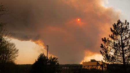 Big cloud of smoke surrounding trees and buildings