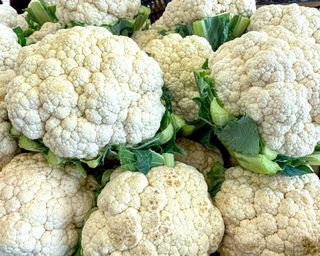 white cauliflower Snowball crops freshly harvested