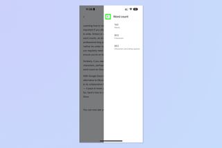A screenshot showing how to view word count on Google Docs mobile app