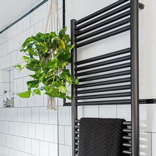 bathroom with white tiles hanging plant and towel rack