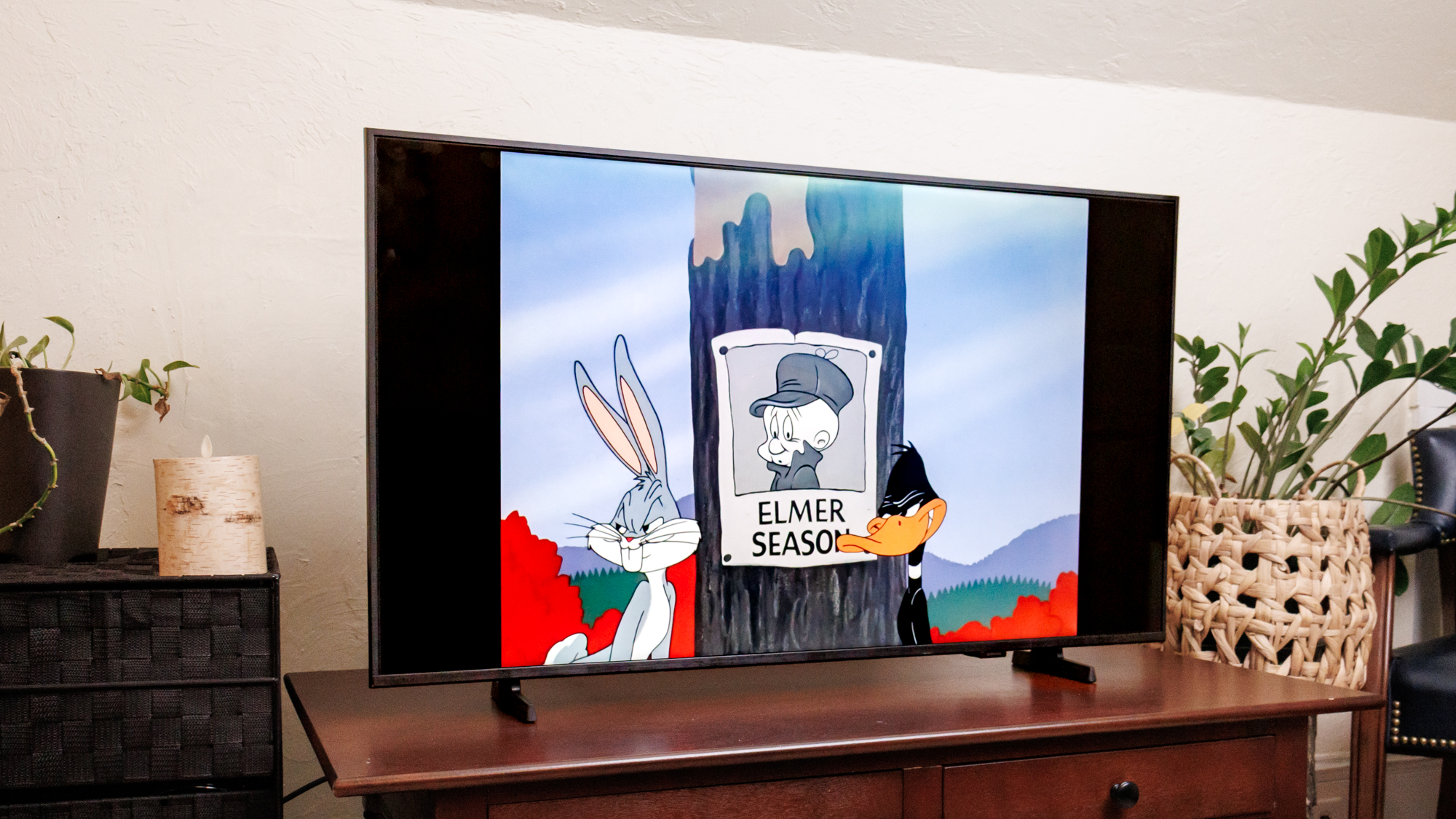 Bugs Bunny and Daffy Duck on a Samsung F6000F LED TV.