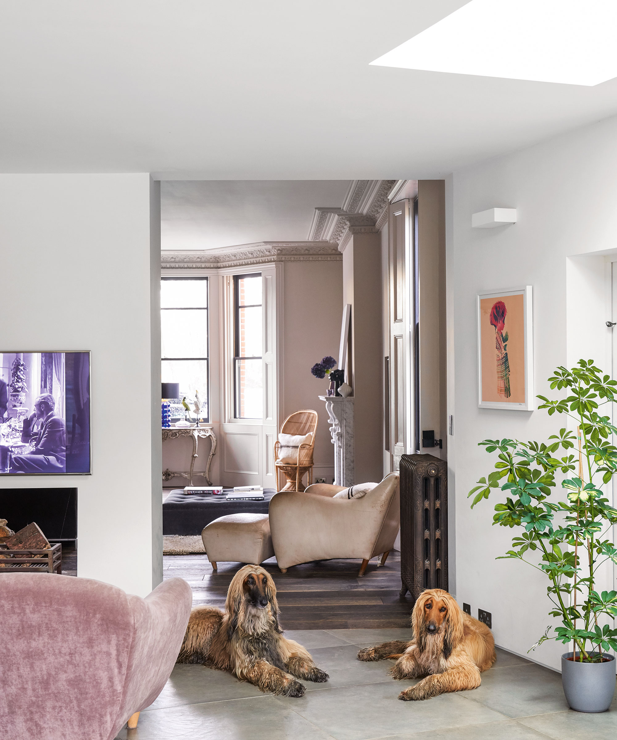 Open plan living room with white walls and skylight