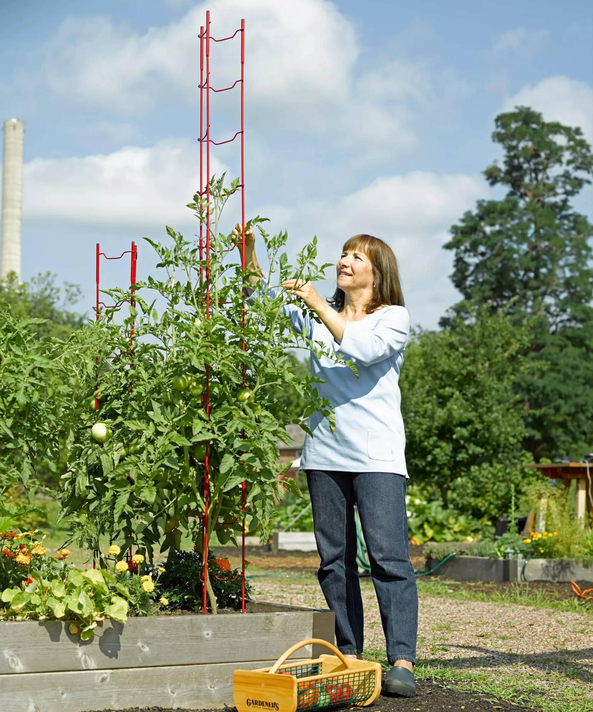 Stacking tomato ladders