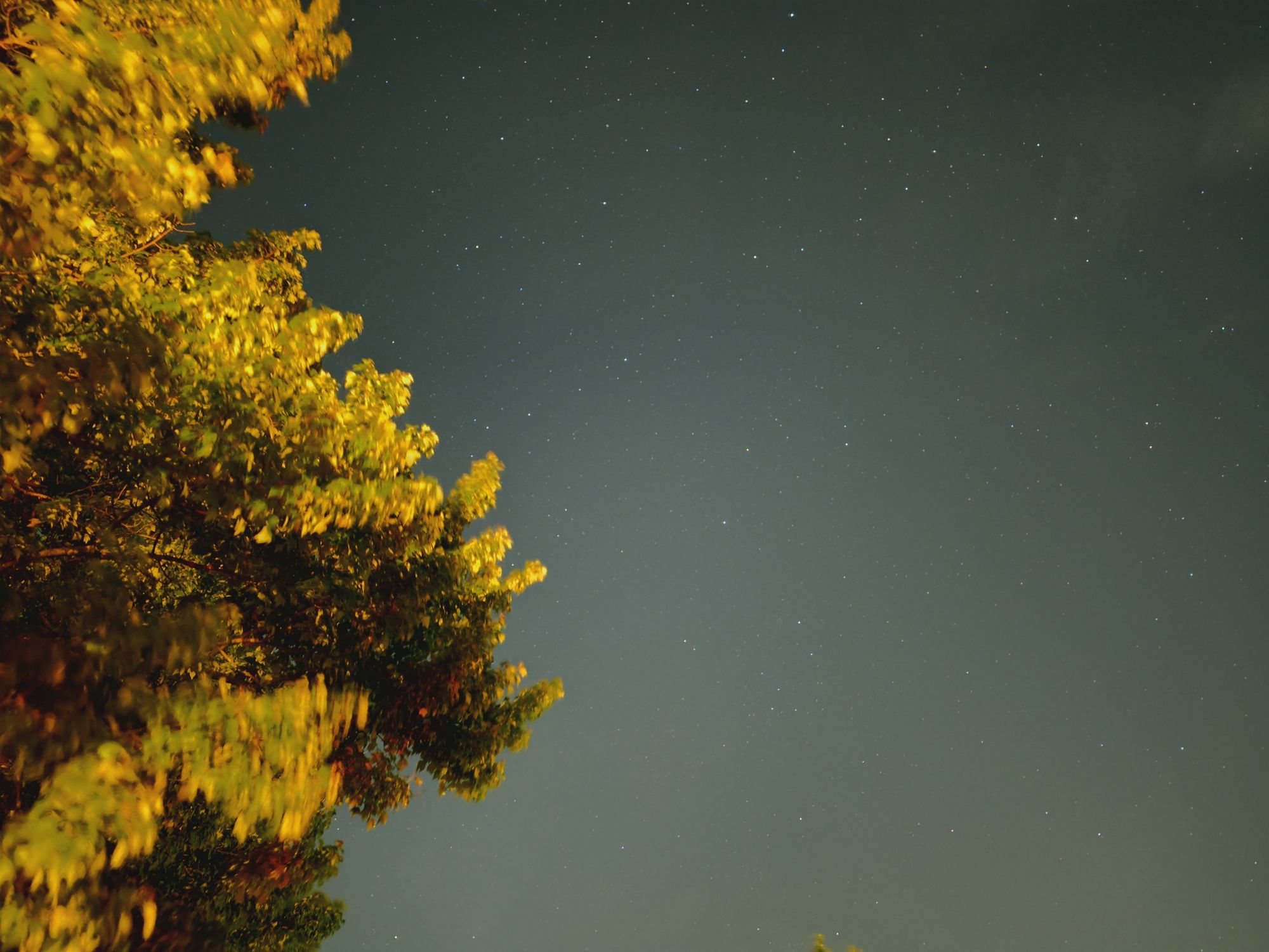 Samsung Galaxy S25 Edge Astrophotography Astro Mode Sample.