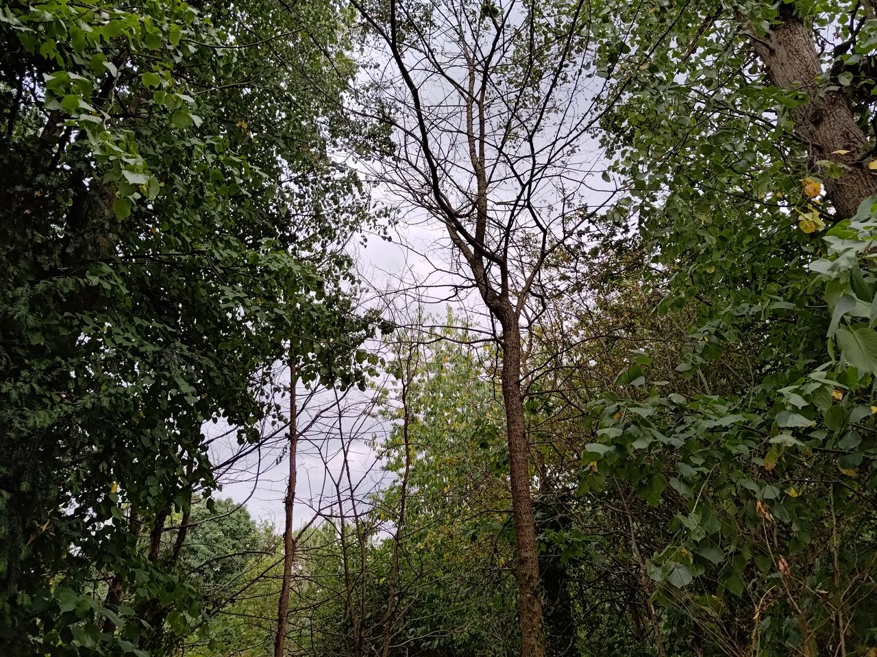 Photo taken on the Asus Zenfone 9