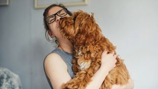 Dog licking their owner
