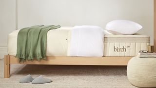 The Birch Luxe Natural Mattress on a light wooden frame and dressed with white pillows and a green bed throw