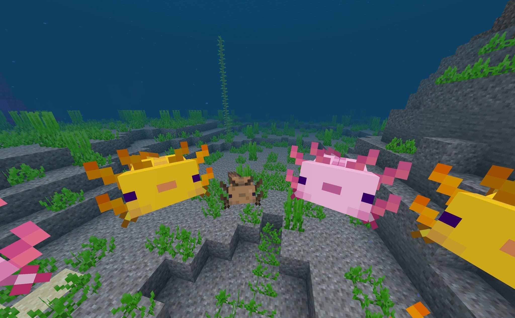 Minecraft: Bedrock Edition Beta 1.16.230.52 adds axolotl and deepslate from  'Caves and Cliffs Update