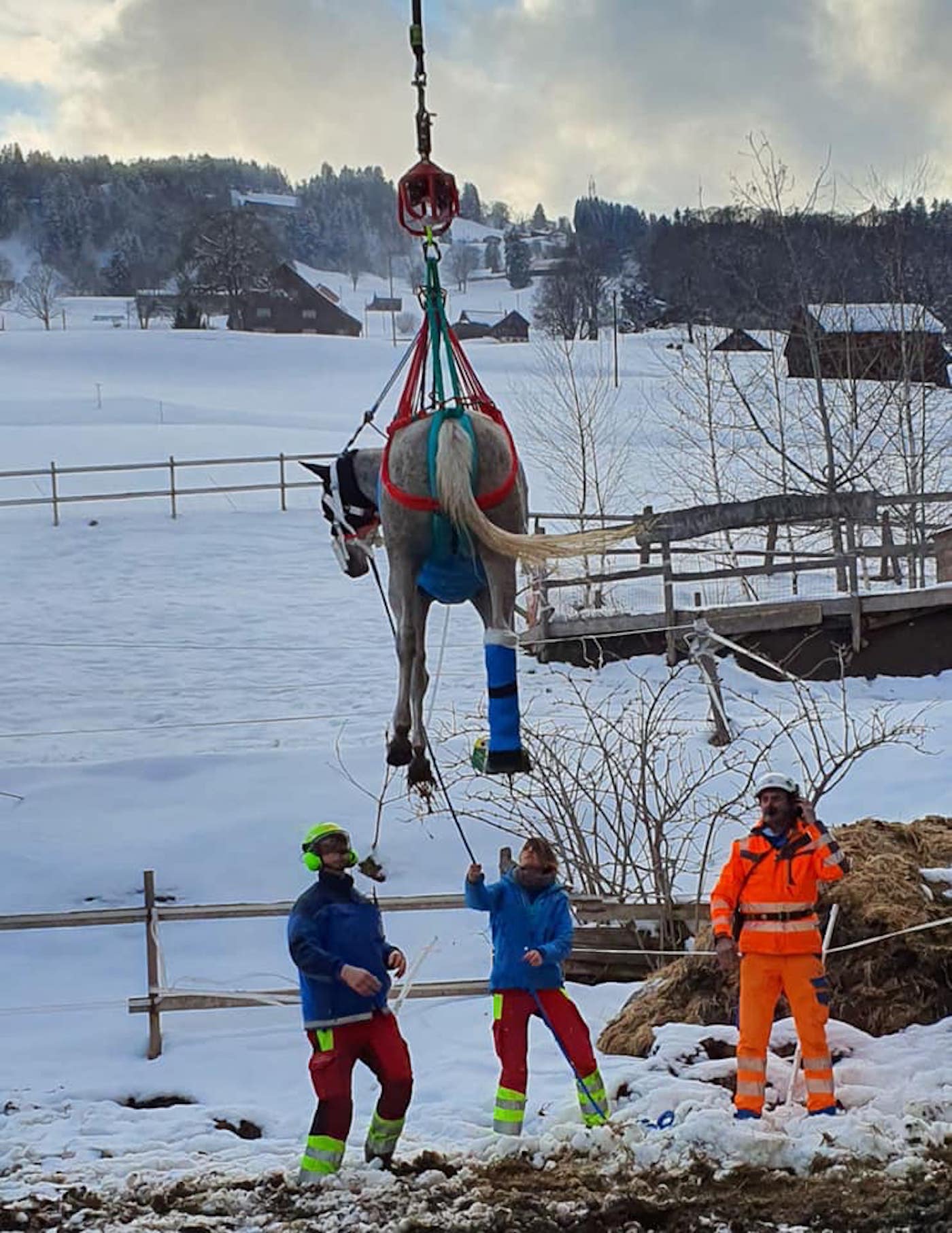 Maya1.jpeg