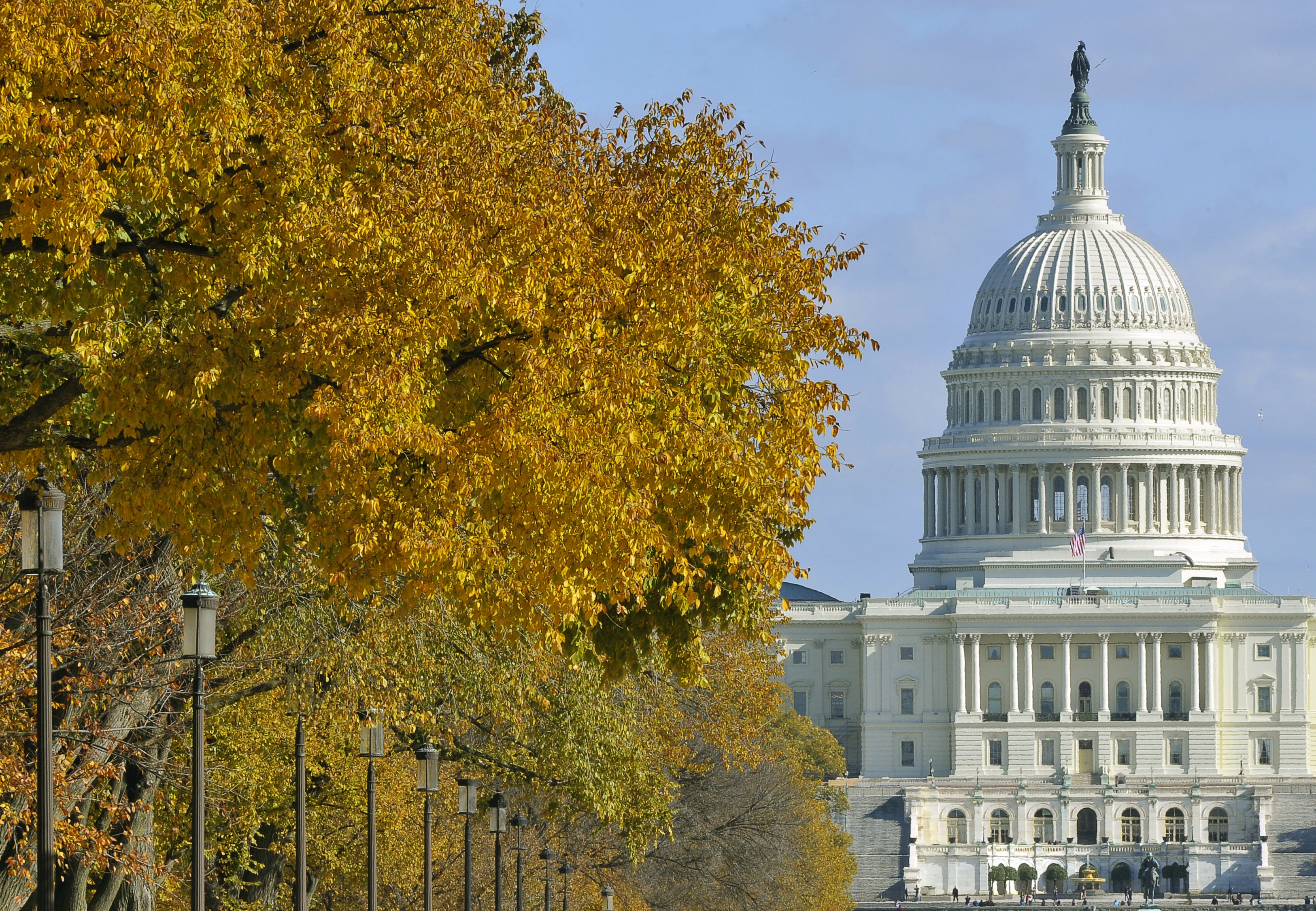 Congress
