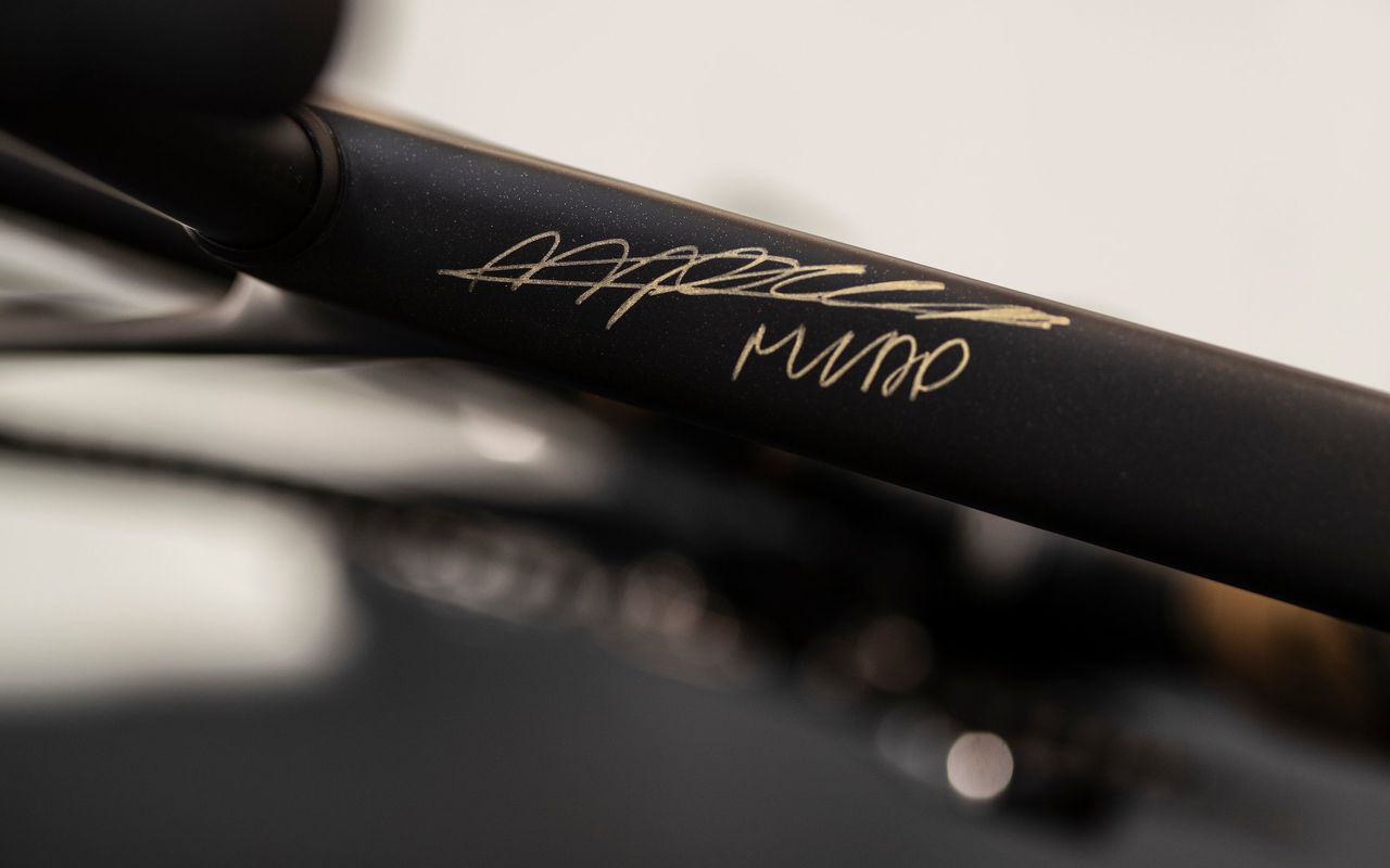 24 karat gold Canyon signed by Mathieu van der Poel