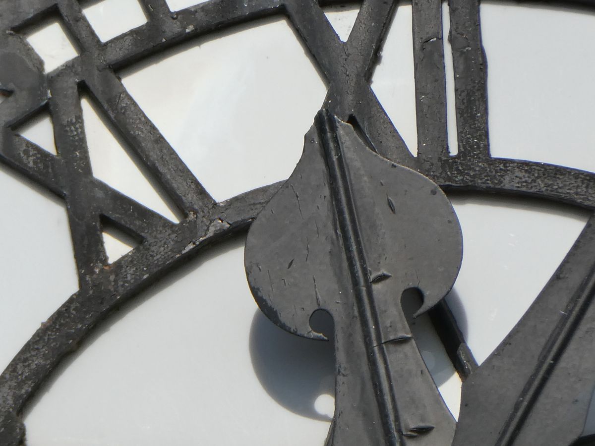 A sample image taken with the Panasonic Lumix ZS99