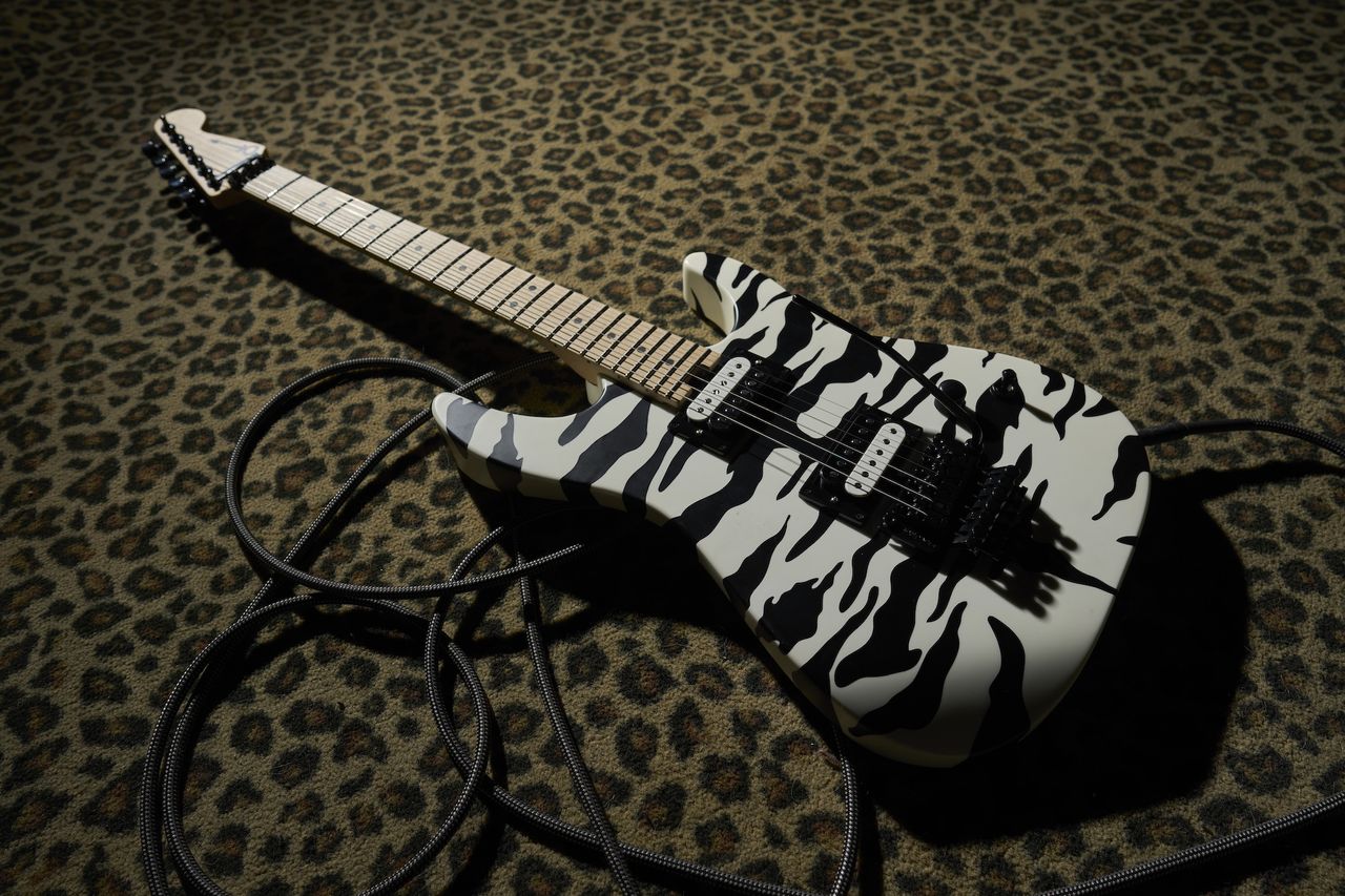 Charvel Satchel Signature Pro-Mod DK22 HH FR M 1