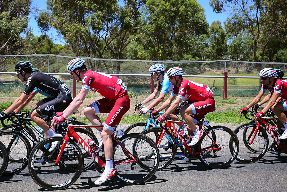 The peloton in action during stage 5