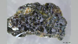 A sample of the Miller Range 03346 meteorite, cut in half. 