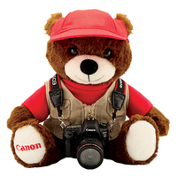 Collectible Canon Bear with Camera: $59.99