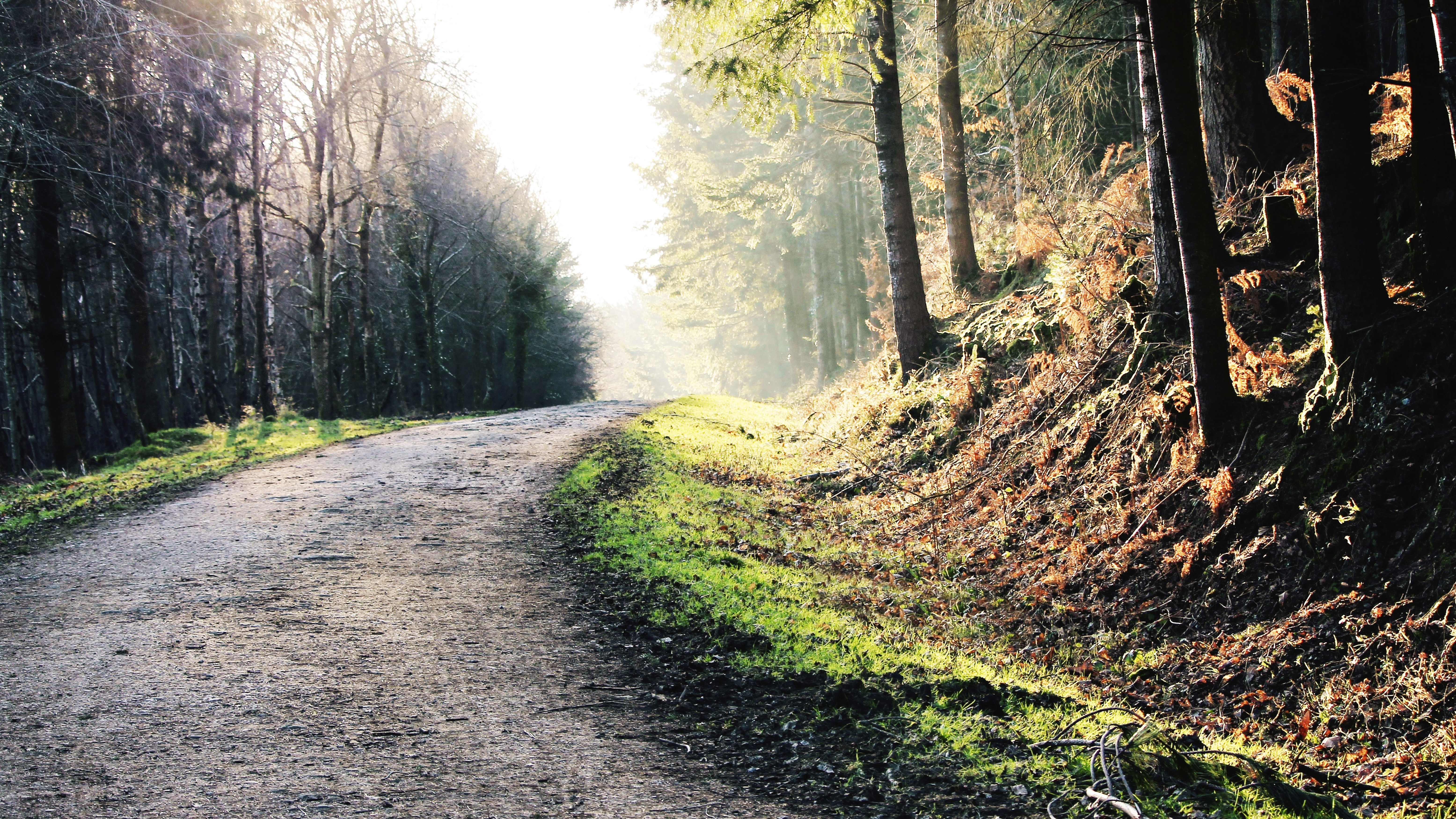 nice walks near me