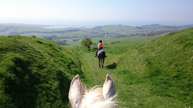 Abbotsbury-e1491828775277.jpg