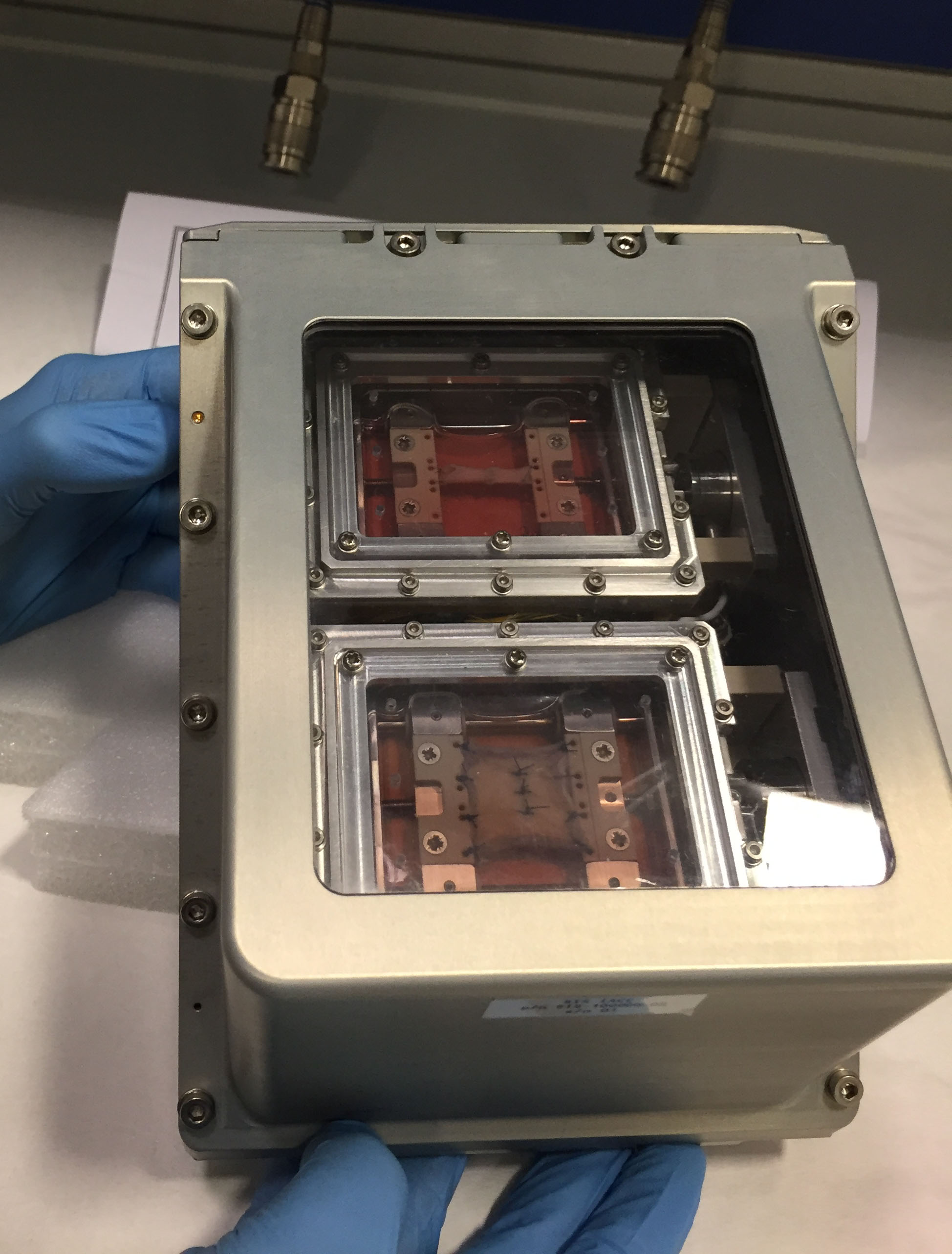 This image shows skin samples cultured in the Suture in Space hardware prior to flight. This ESA investigation examines the behavior of sutures and wound healing in microgravity.