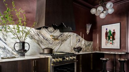 burgundy kitchen with marble splashback, cluster pendant light, vase with green foliage, and artwork