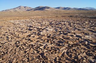 A dry lake bed in Chile's Atacama Desert. Scientists studying life in the Atacama have identified ways that microbes cope with extremely dry environments.