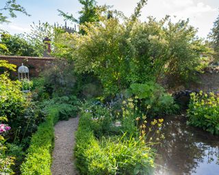 ninebark planted by garden pond surrounded by marginal planting and gravel path