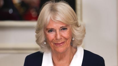 Duchess Camilla's grandchildren