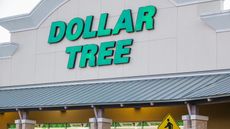 Dollar tree exterior of store