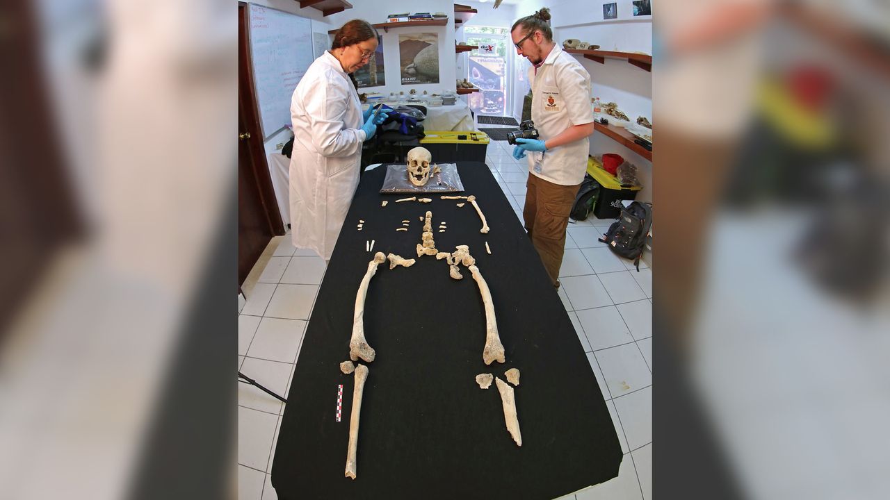 Researchers study the remains of the woman from the Chan Hol cave, discovered in Mexico's Yucat&aacute;n Peninsula. Study co-researchers Silvia Gonzalez (left), a professor in the School of Biological and Environmental Sciences at Liverpool John Moores University in the U.K., and Samuel Rennie, a biological and forensic anthropologist, compare the ancient woman's skeleton with other contemporary skeletons from central Mexico and Brazil.