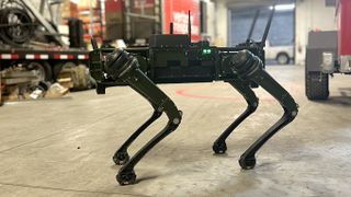Verizon Robot Dog 