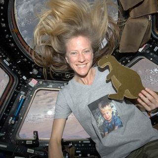 Karen Nyberg, as seen in 2013 on the International Space Station, holds the Tyrannosaurus Rex toy she stitched together for her son out of fabric scraps found on the complex.
