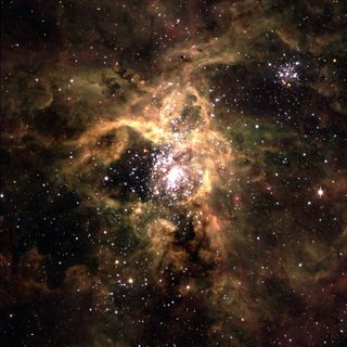 The tarantula nebula has tendrils in gold and black that resemble a tarantula