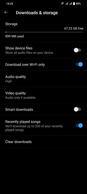 YouTube Music download and storage options