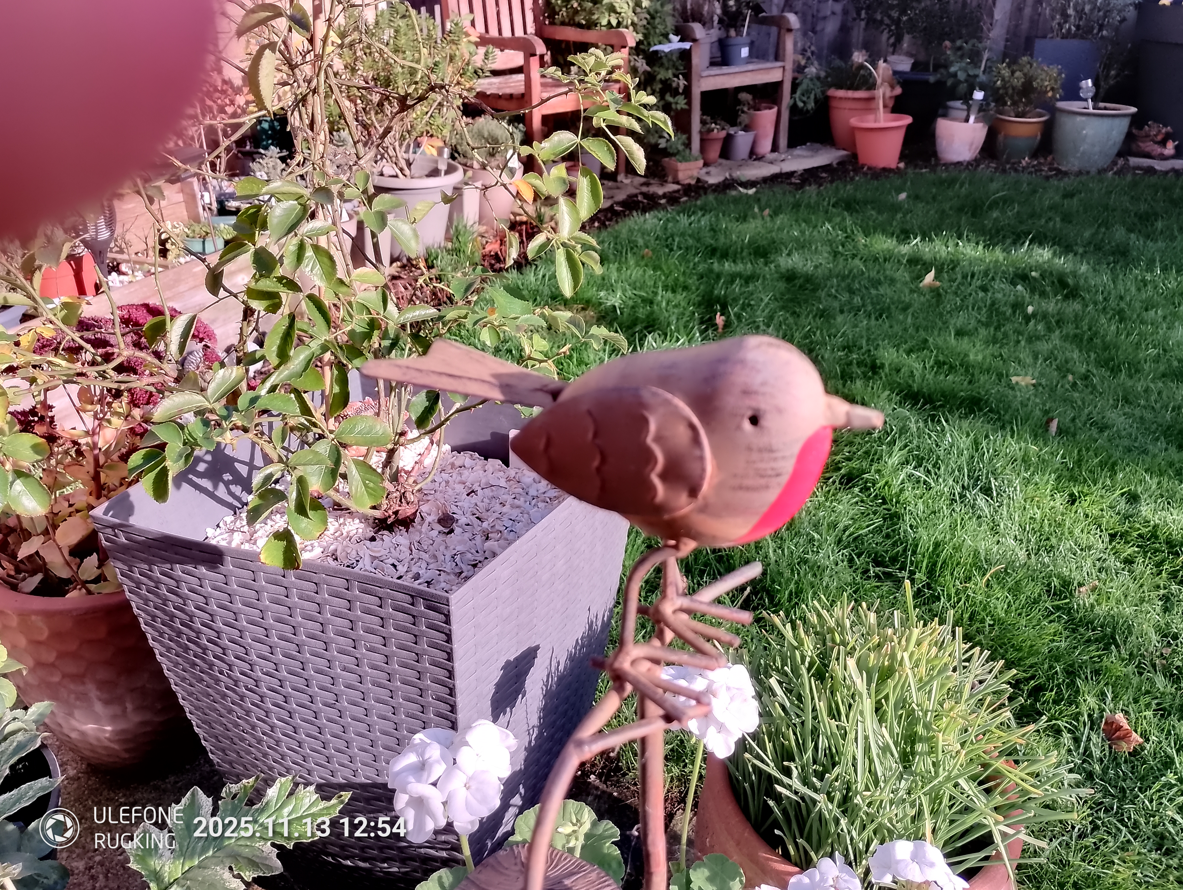 Ulefone Rugking camera examples