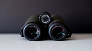 Noctivid close-up on eyepieces