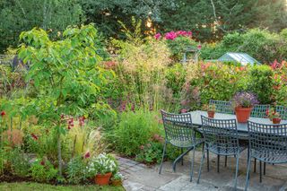 cottage patio ideas garden batts Clive Nichols cottage garden with lots of plants and table and chairs