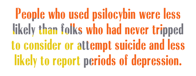 people who used psilocybin