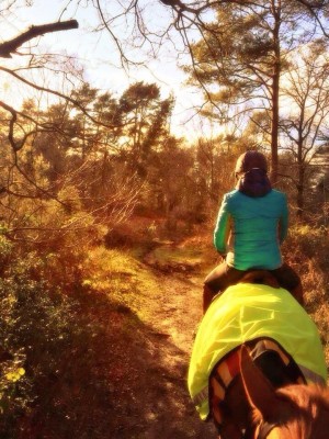Out hacking