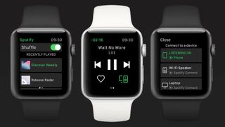 Tidal Tips feature showing using Tidal on Apple watch